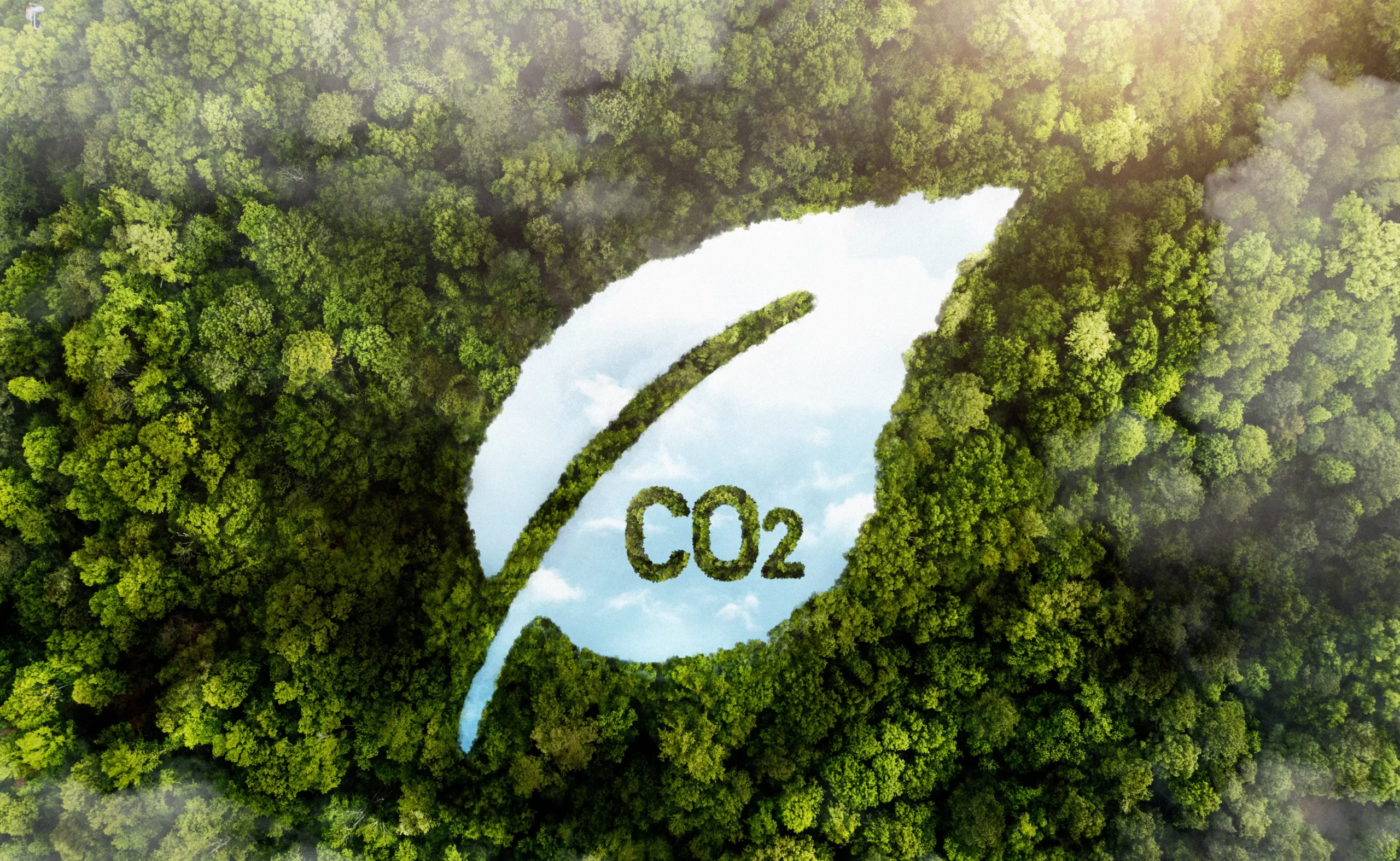 Carbon Offsets vs Carbon Credits: Explore Their Key Differences
